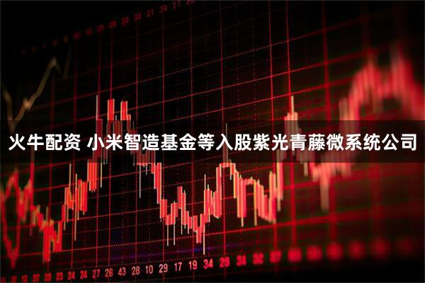 火牛配资 小米智造基金等入股紫光青藤微系统公司
