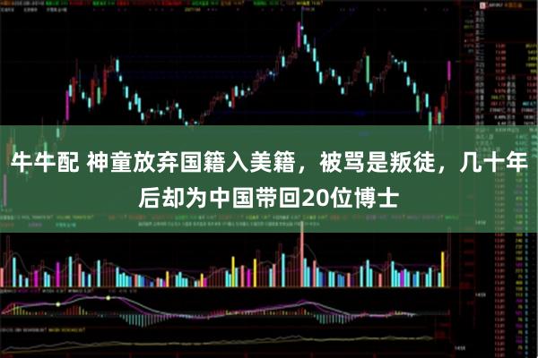 牛牛配 神童放弃国籍入美籍，被骂是叛徒，几十年后却为中国带回20位博士